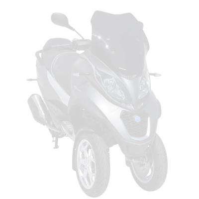 Bulle Ermax sport (51 cm)