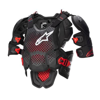 Pare pierre Alpinestars A-10 V2 2023